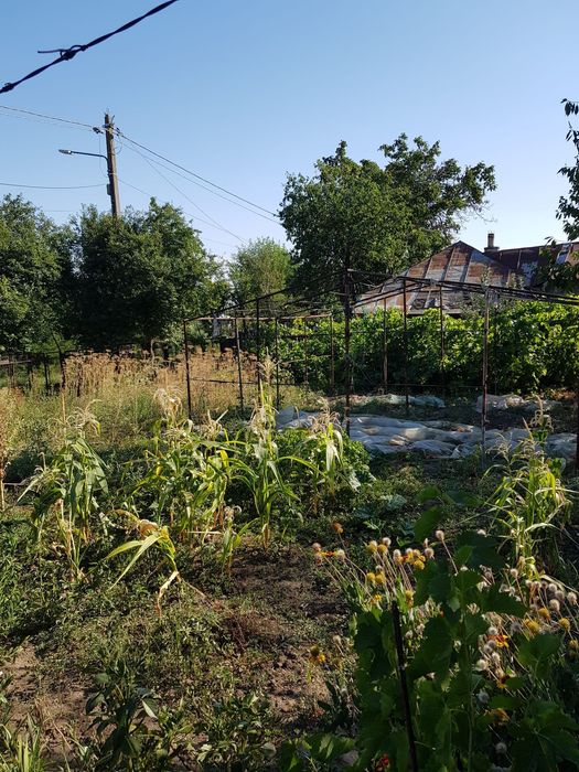 Casa bătrânească In Frățești, Giurgiu