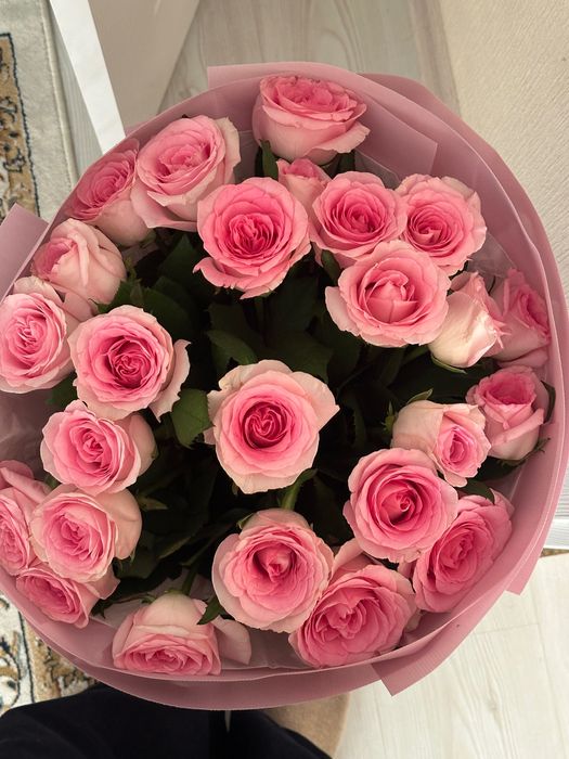 25шт Роза свежий