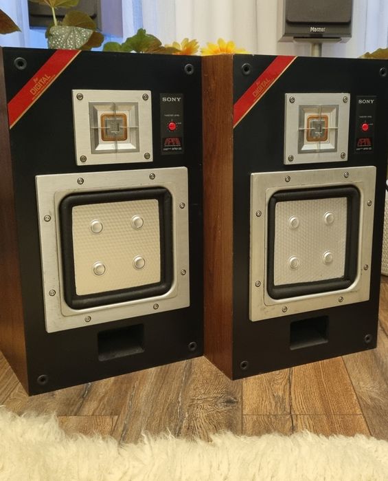 Boxe Sony APM 33W