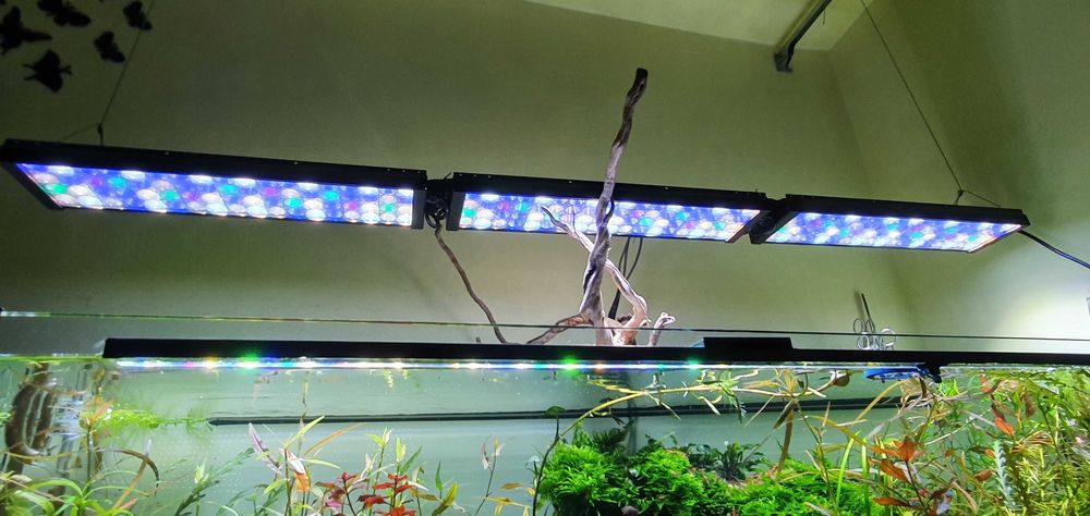 Acvariu 375 litri complet echipat