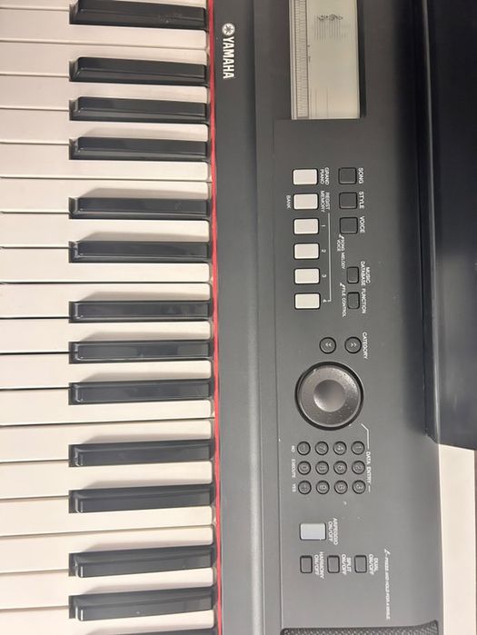 orga piaggero NP-V80