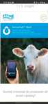Sense Hub - informator digital calduri bovine-vaci, reproducție, sanat