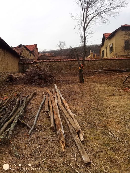 Продава се Парцел в с. Згурово, Област Кюстендил - 1330 кв.м за 14 €/кв.м - Снимка #5
