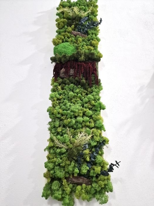 Vand tablori licheni pe comanda