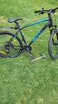 Bicicleta gigant