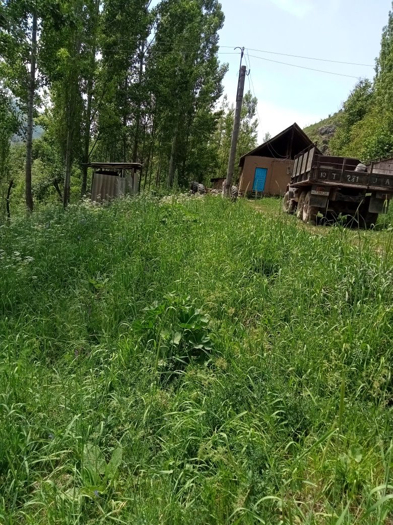 Nefrit koli yaqinida 20 sotiqli uchastka sotiladi