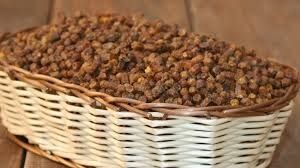 vand Pastura, Polen si alte produse apicole