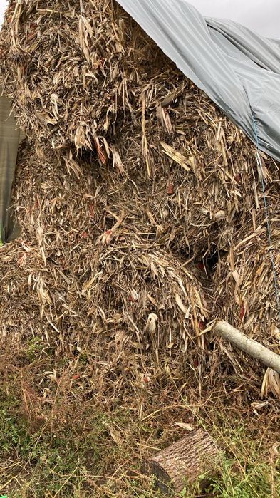 Vând balotii cocenii și paie