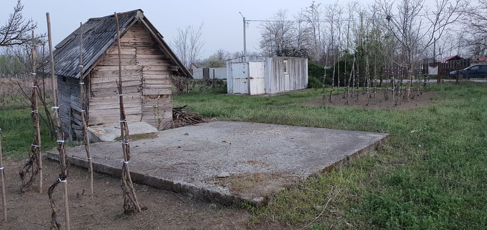 Teren intravilan 2300mp Sarulesti Sat Calarasi