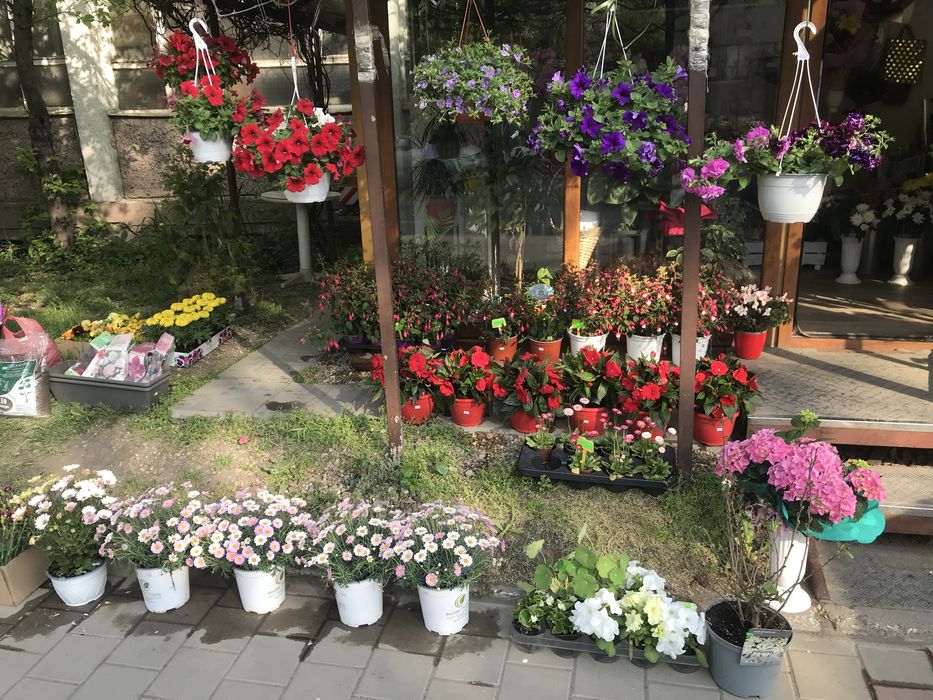 Цветарски магазин Топ локация