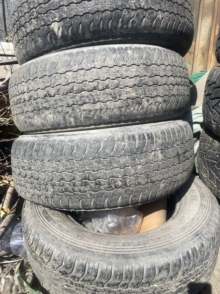 Продам ризину R17