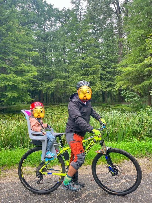 Scaun bicicleta Thule RideAlong