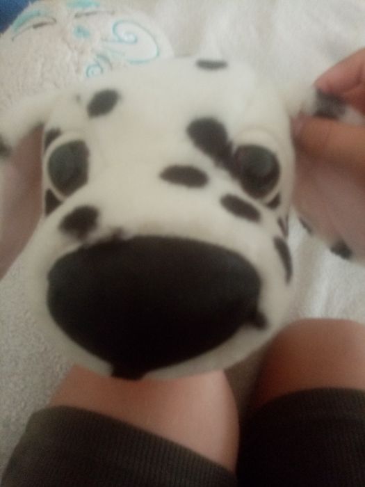 Plusurile mele norila, dalmațian, balenuta T  nu au defect și au 40 cm