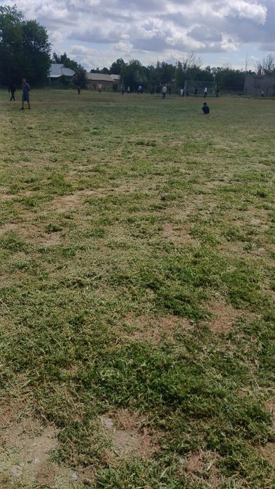 Қаздың жұмыртқасы сатылады 40 штуктай