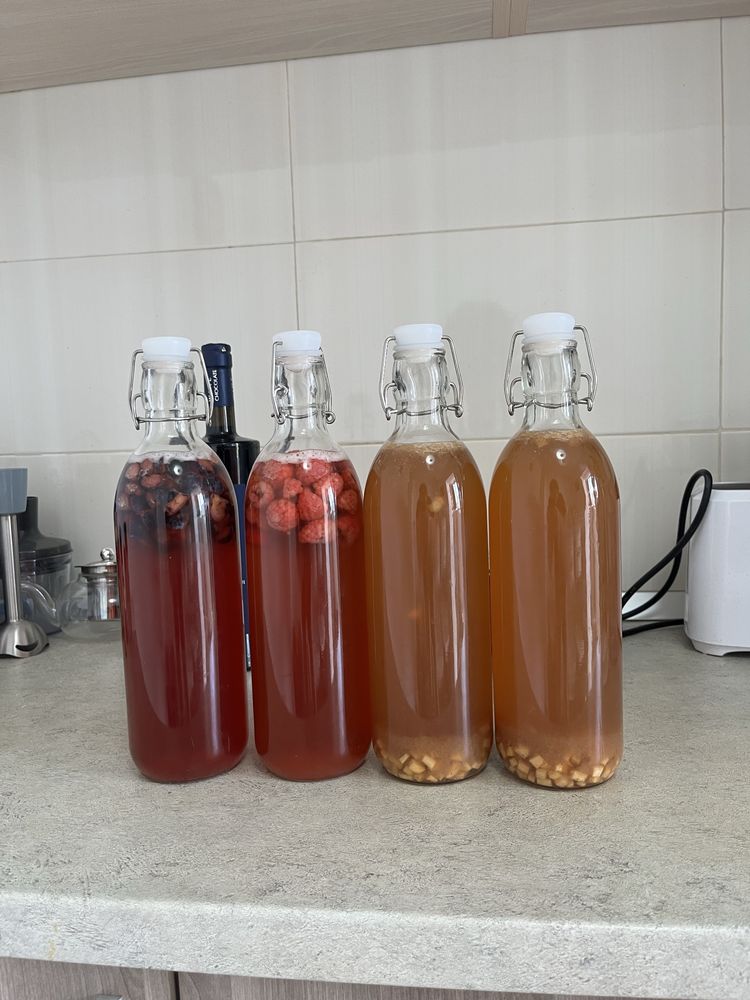 Kombucha scoby + ceai starter