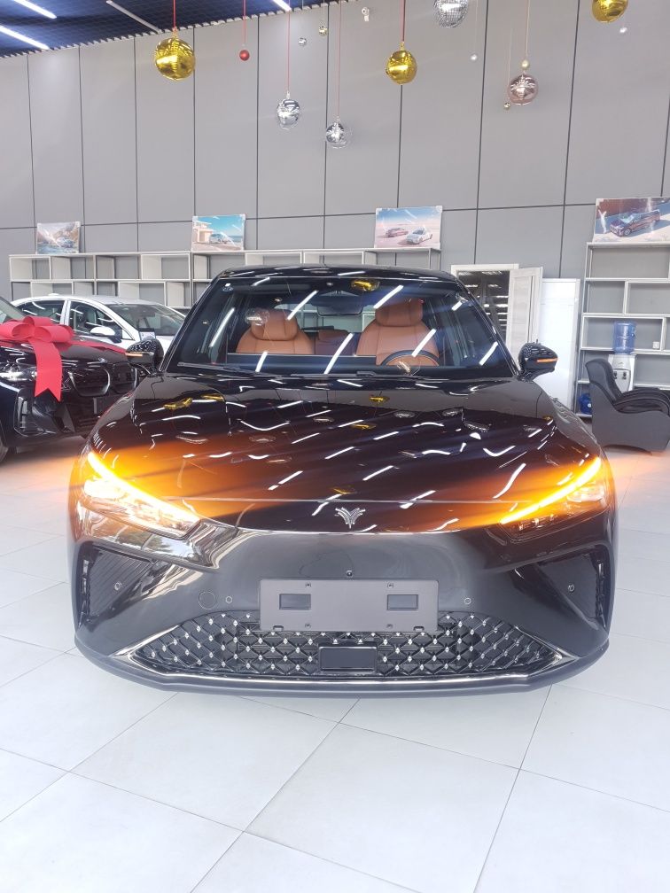 Neta L. Hybrid 2024.