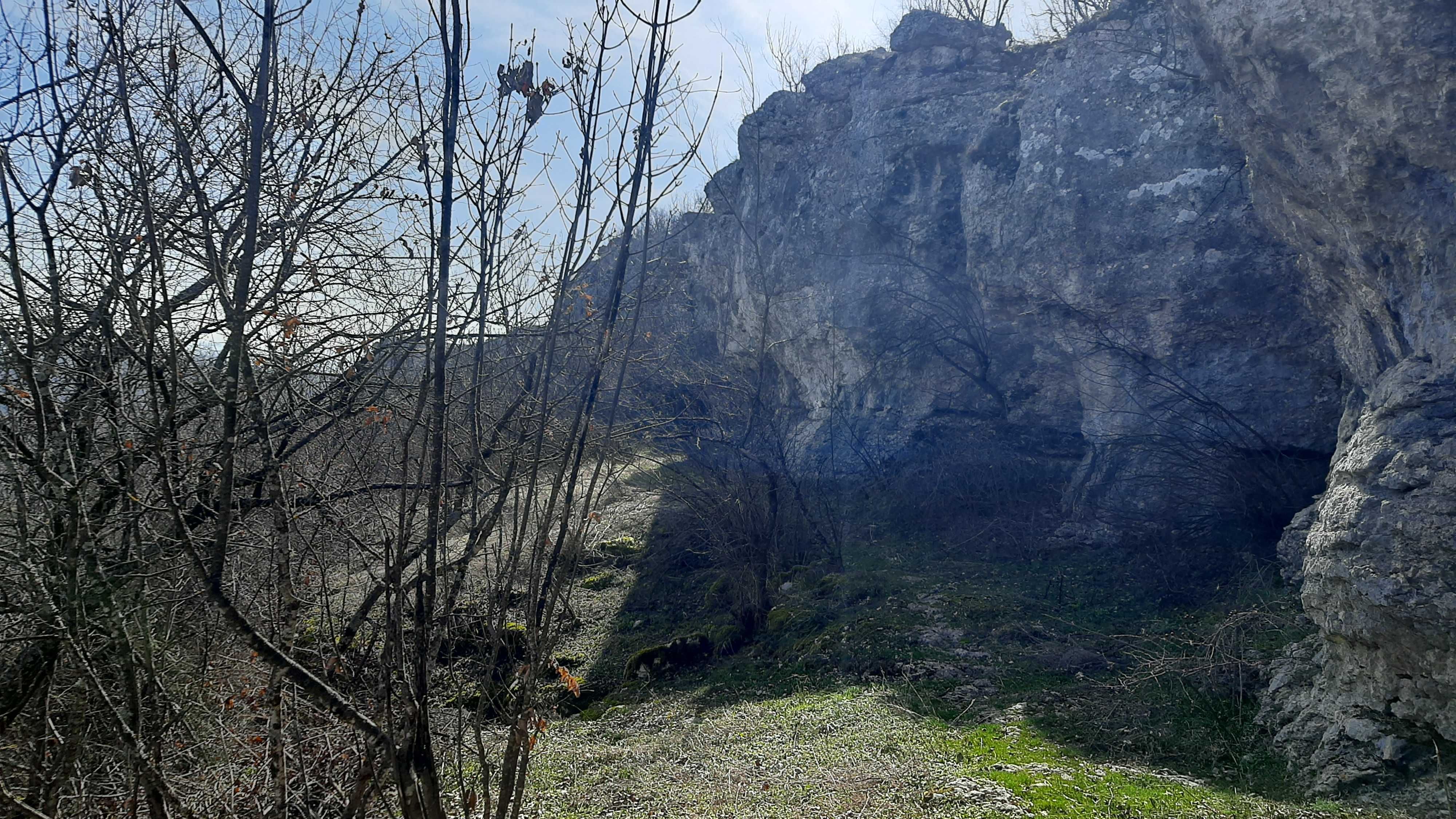 Косене, кастрене, алеи, огради