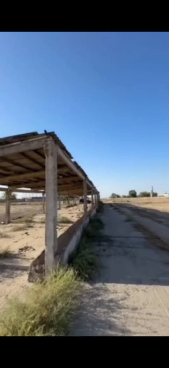 Сотилади ер майдони — Сирдарё вилояти, Янгиер шаҳри, М-39 трассаси ёқа