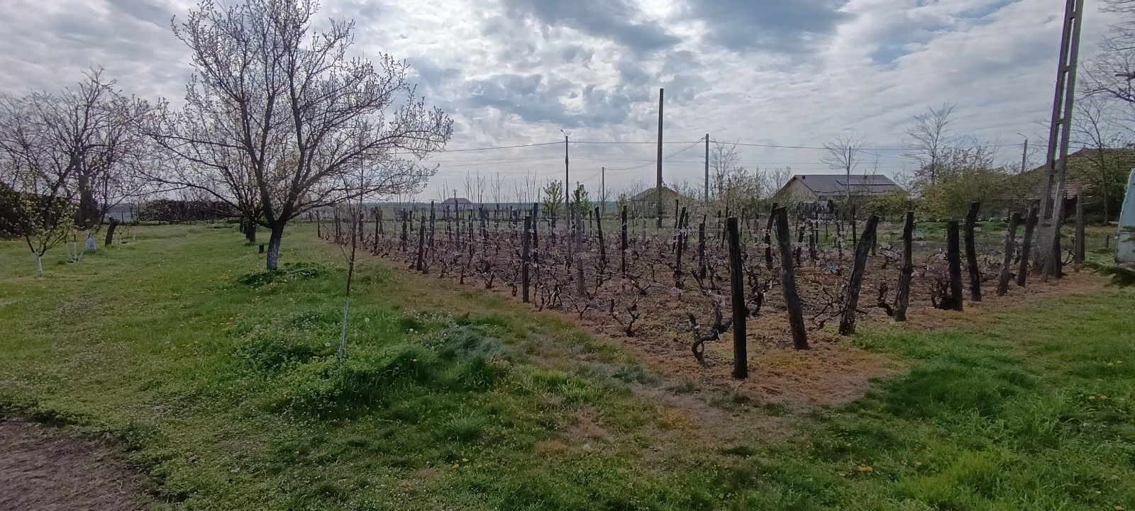 Casă de vânzare sau schimb cu ap București