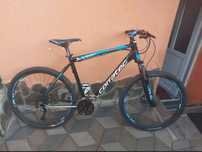Corratec X-Vert Halcon 27.5