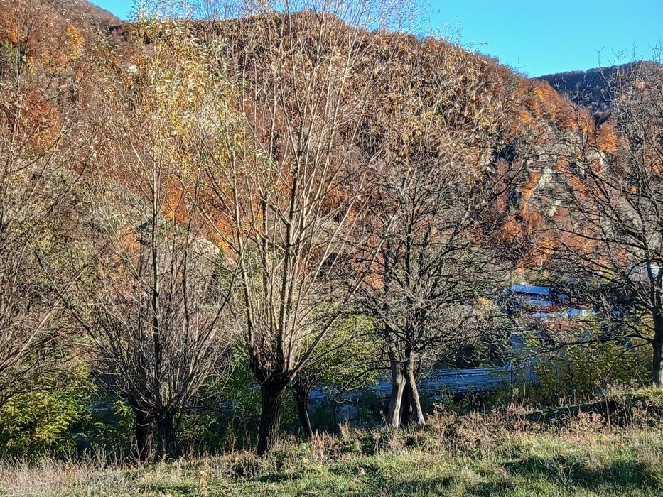 Casa de vanzare Reghiu