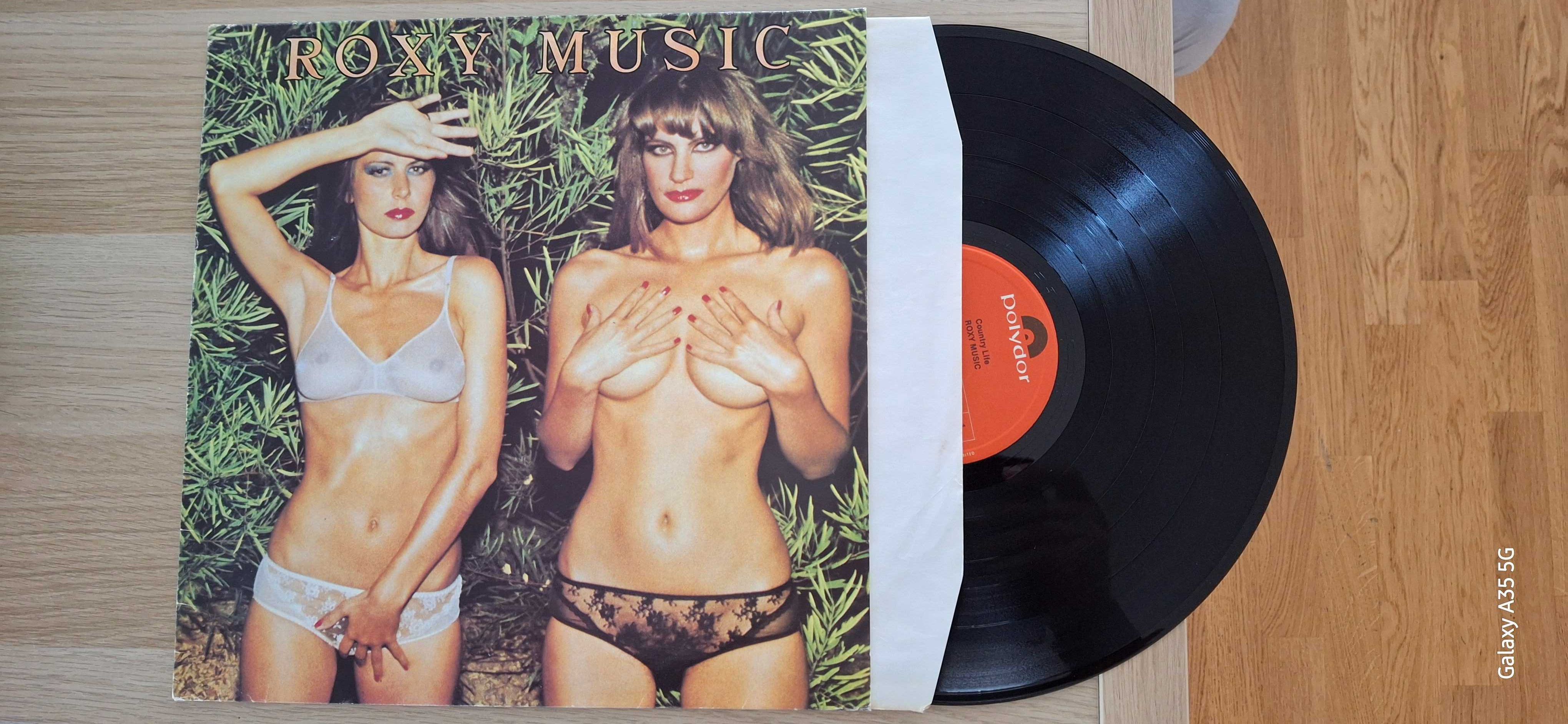 Discuri Vinil LP - Roxy Music