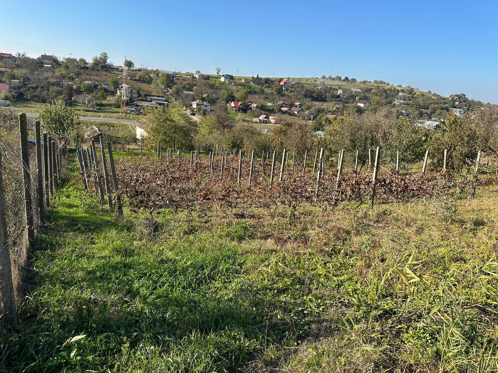 Teren Intravilan Vulturi, com Popricani- Pers. Fizica