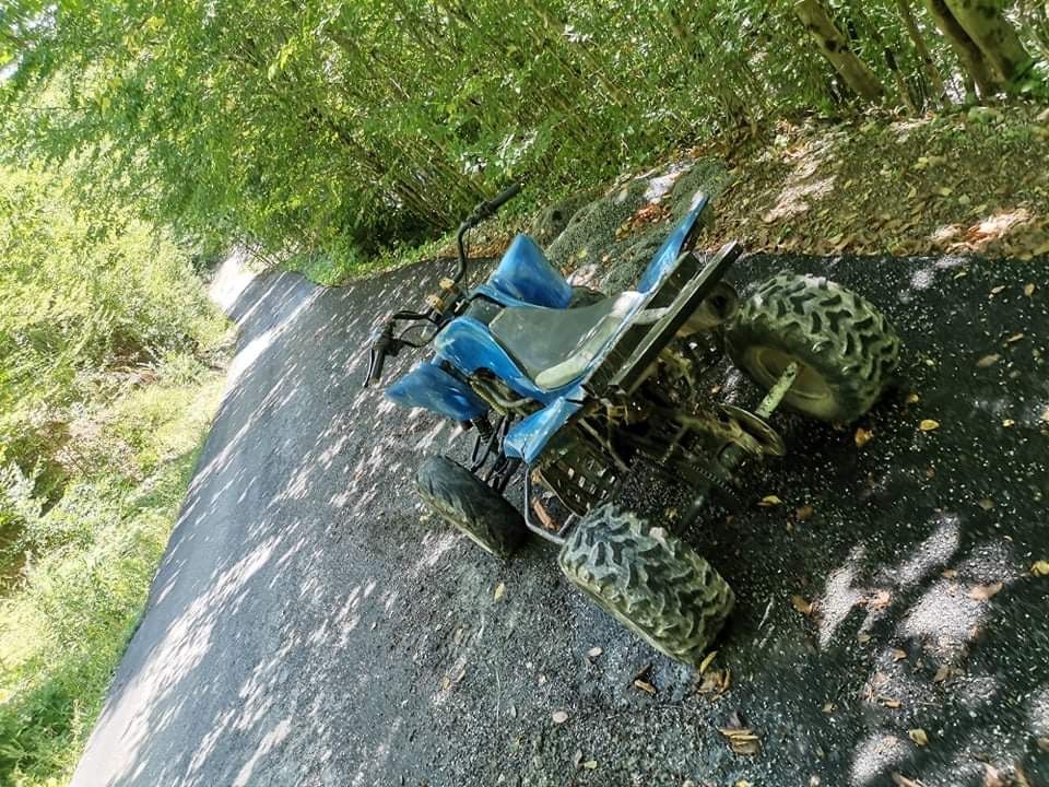 Vand atv bashan 250.