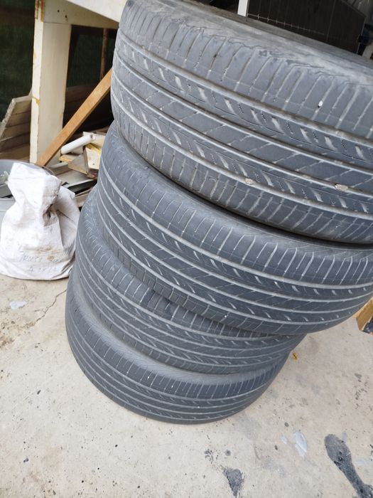 Nexeng пакришкалар