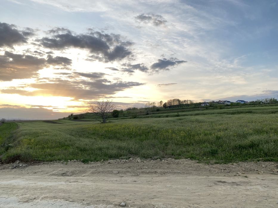 Teren Comercial 90 ari Front Stradal 45m Patrauti