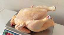 Продам мясо Бройлерное