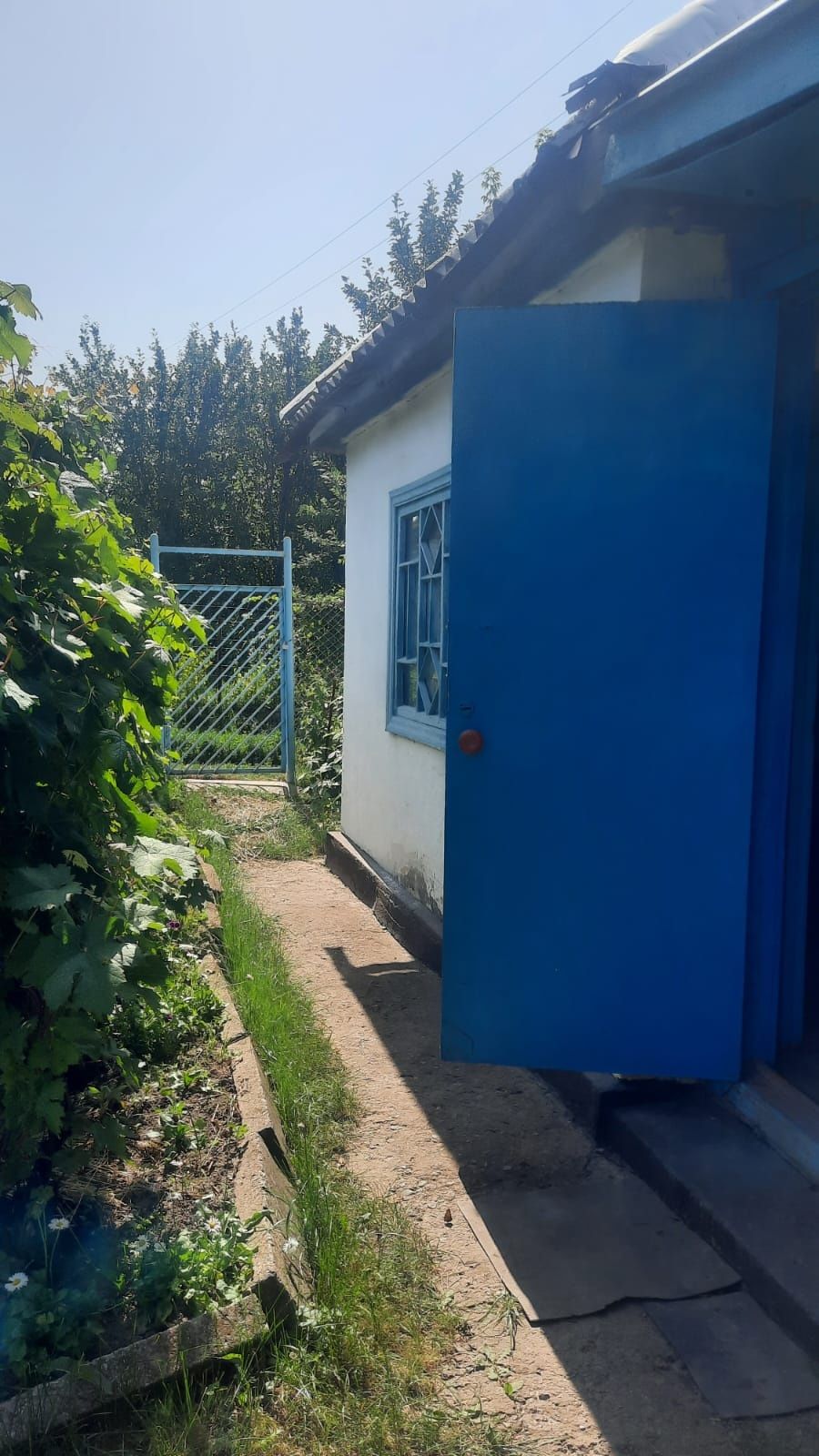 Продам Дачу в обществе Обоготитель