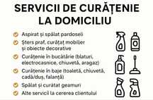 Servicii de curatenie