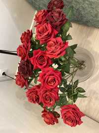 Декоративные розы