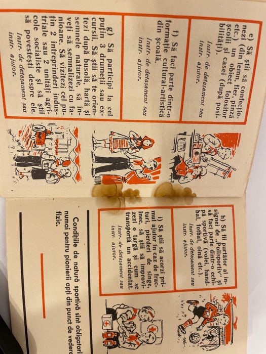 carnet de pionieri