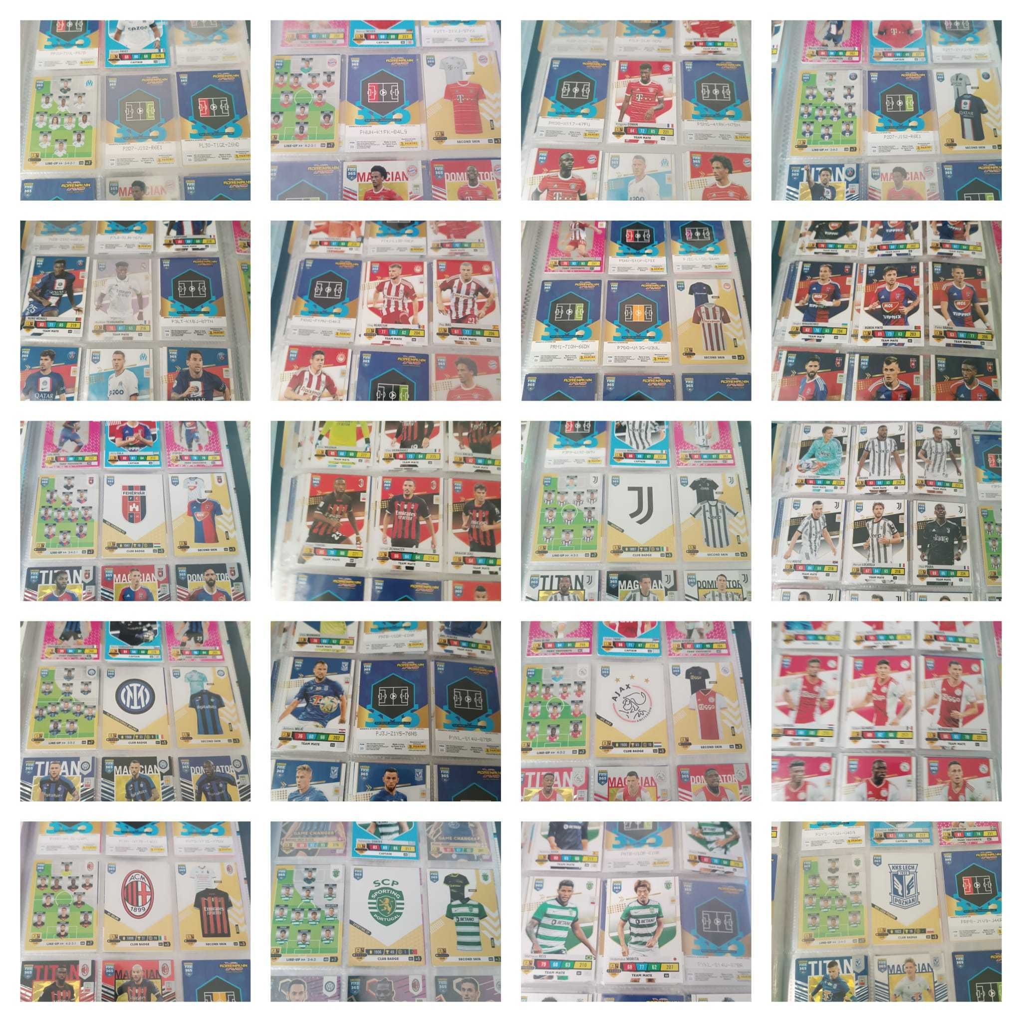 Cartonase FIFA 365 PANINI