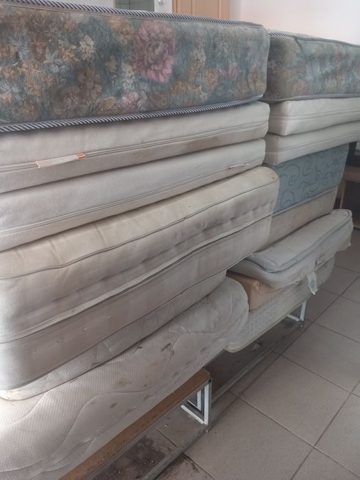 Saltele si bureti