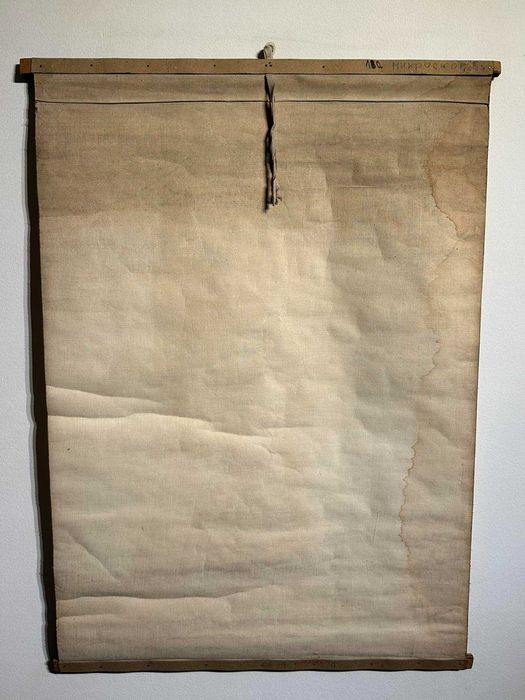 Соц Учебни Плакати Постери Ботаника