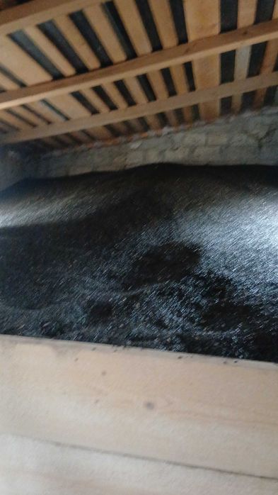 Vând floarea soarelui