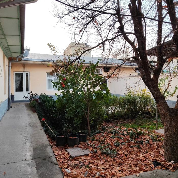 Центрда, зор лакатцияда аренда