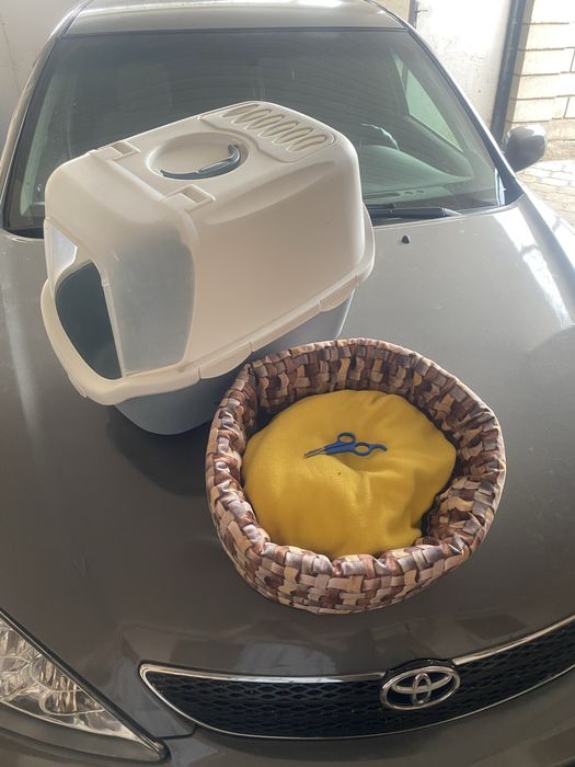 Лоток, лежак и когтегрызка