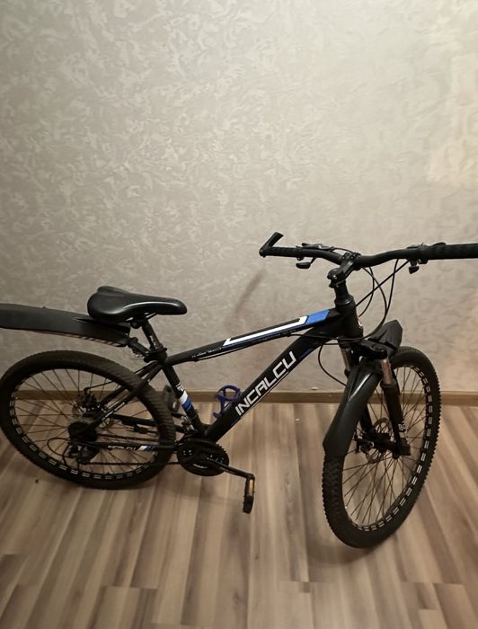 Прадам   велик