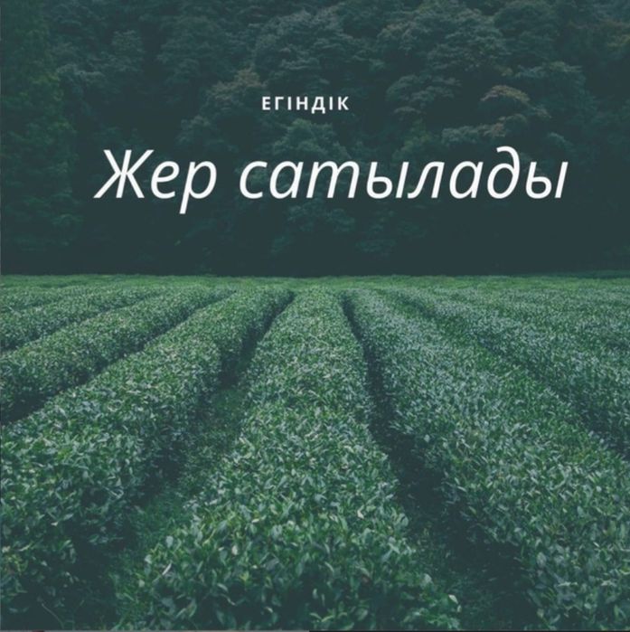 Земля сельскохозяйственная 25га