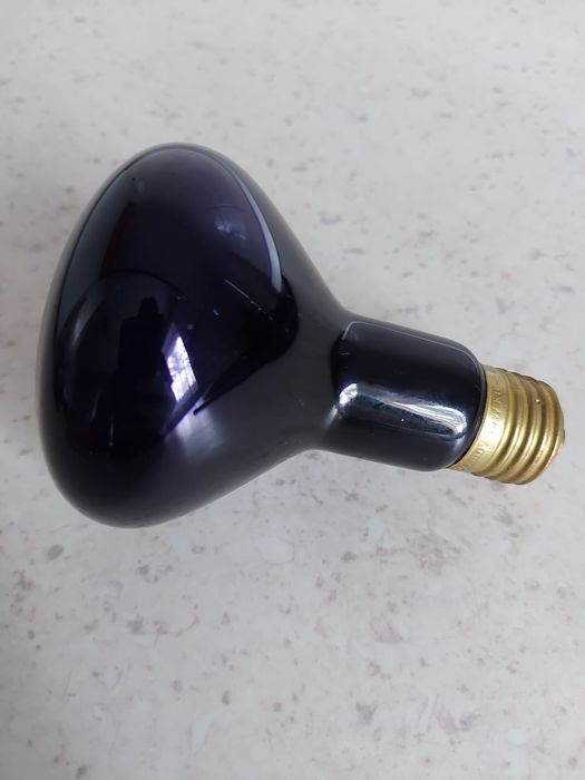 Bec de incalzire pentru reptile