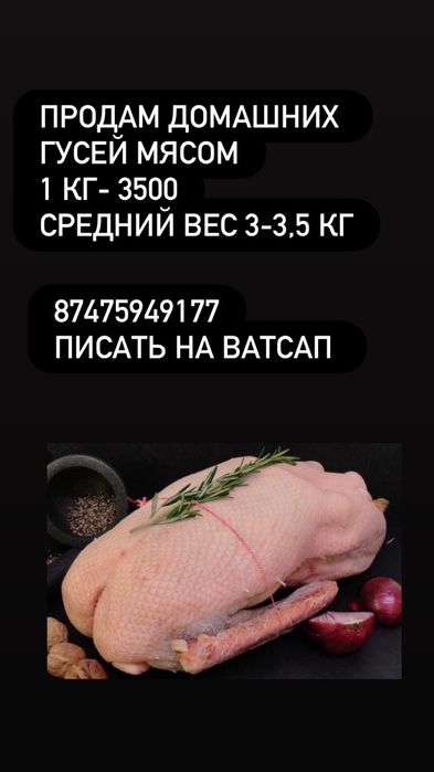 Продам гусей готовых