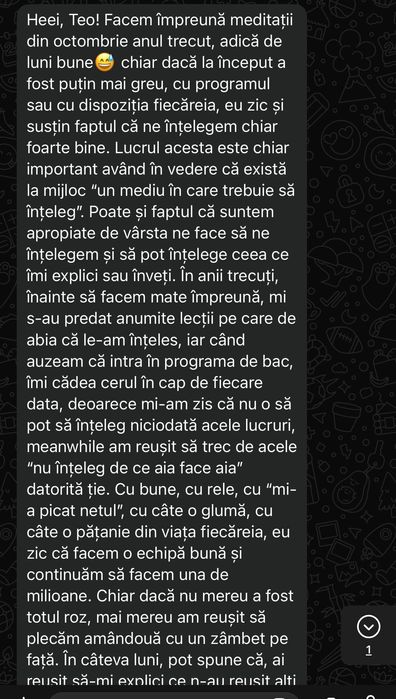 Meditații matematica