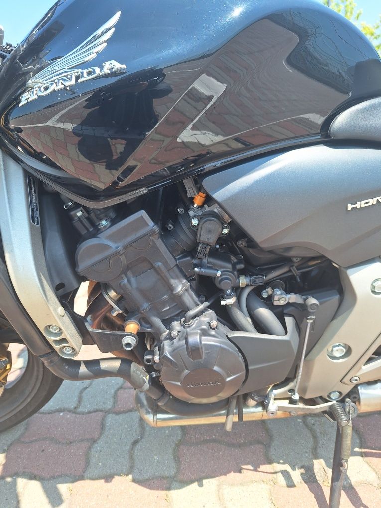 Honda Hornet pc 41