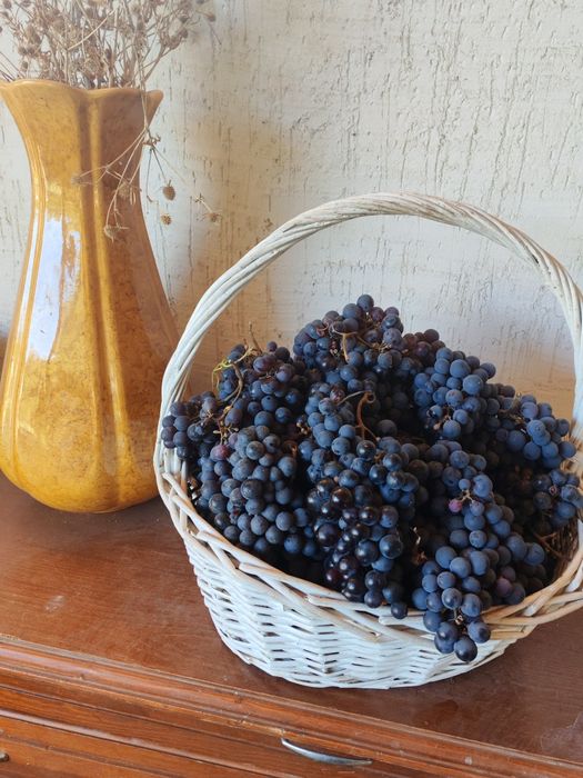 Продам виноград местный, сотовой, соадкий...