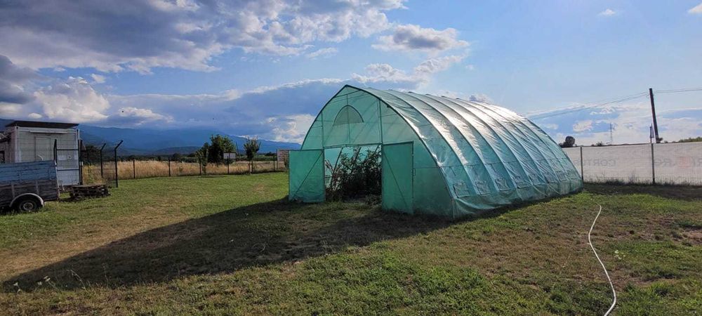 Hala semirotunda Gotica 6x6m - 36 M², Verde - Corturi24