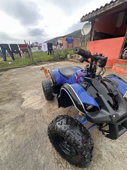 За повече инфо обадете се !